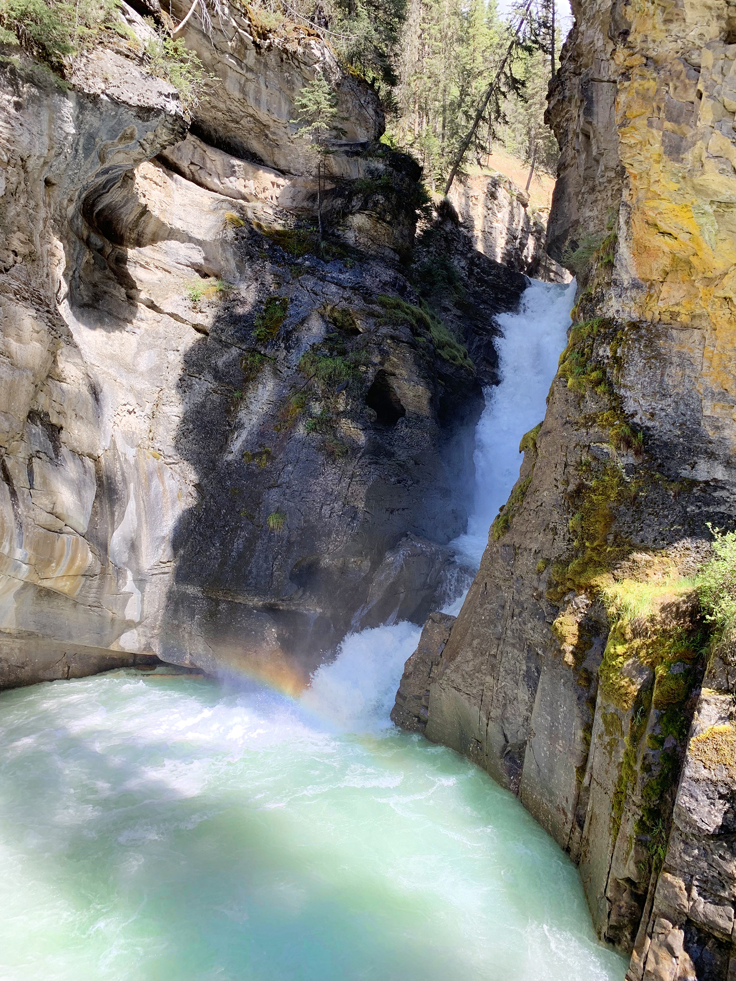 Johnston Canyon Lower Falls - Things to do in Banff Canada
