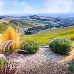 Cutest Paso Robles Bed & Breakfast Farm Stay