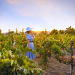 7 Most Romantic Paso Robles Activities