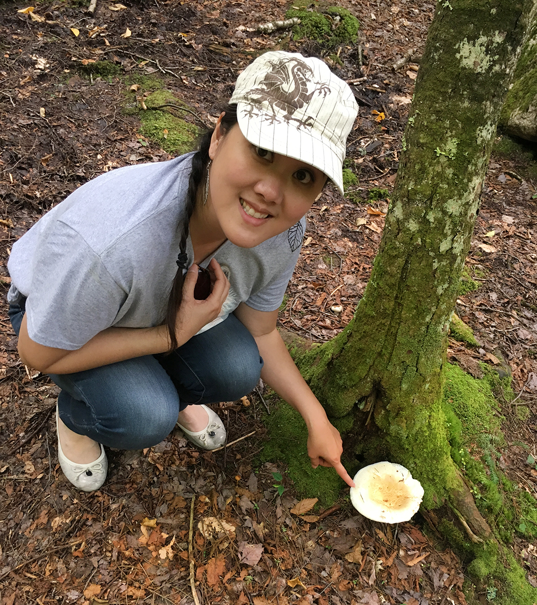 Mushroom hunting new hampshire