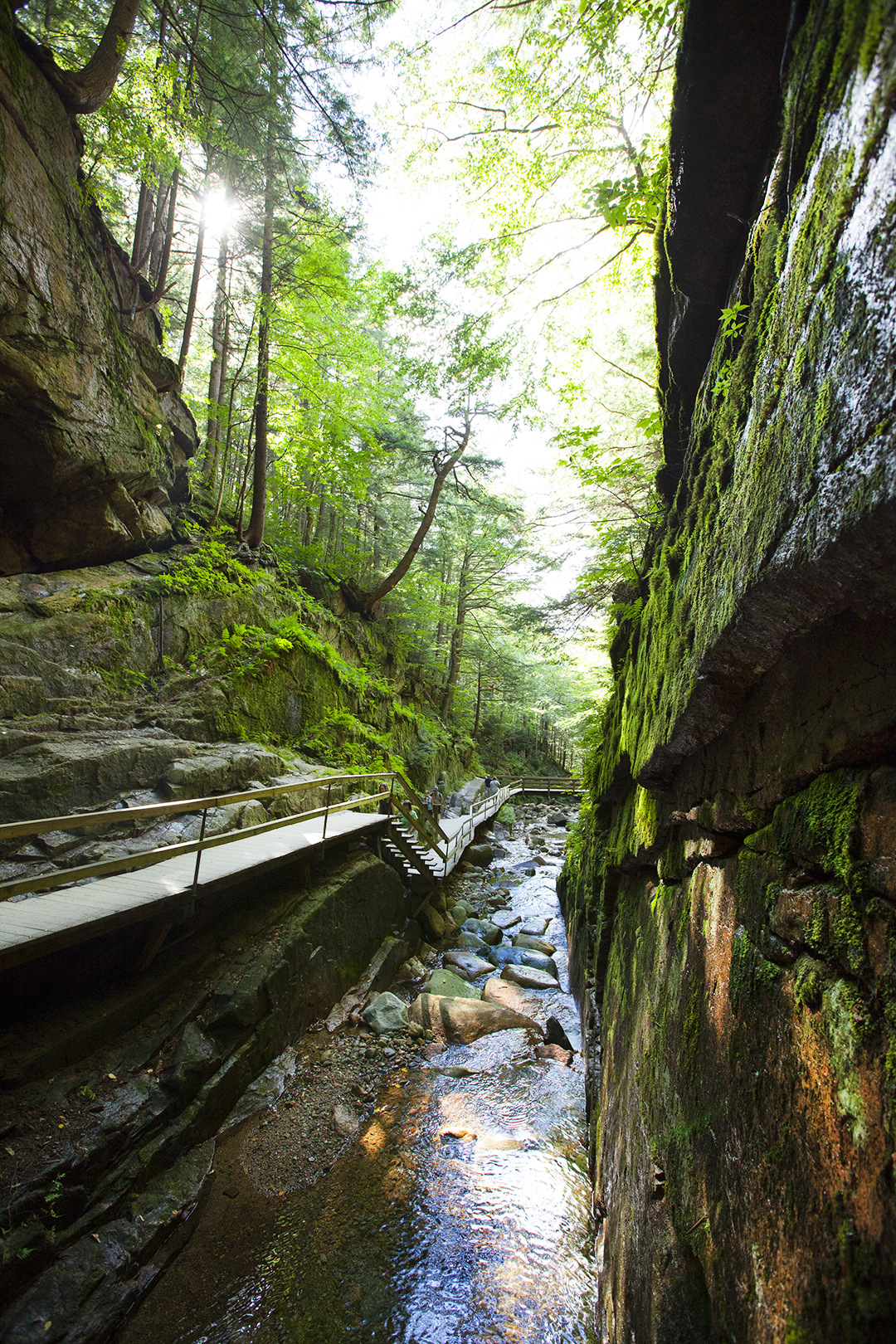 Flume Gorge Franconia National Park