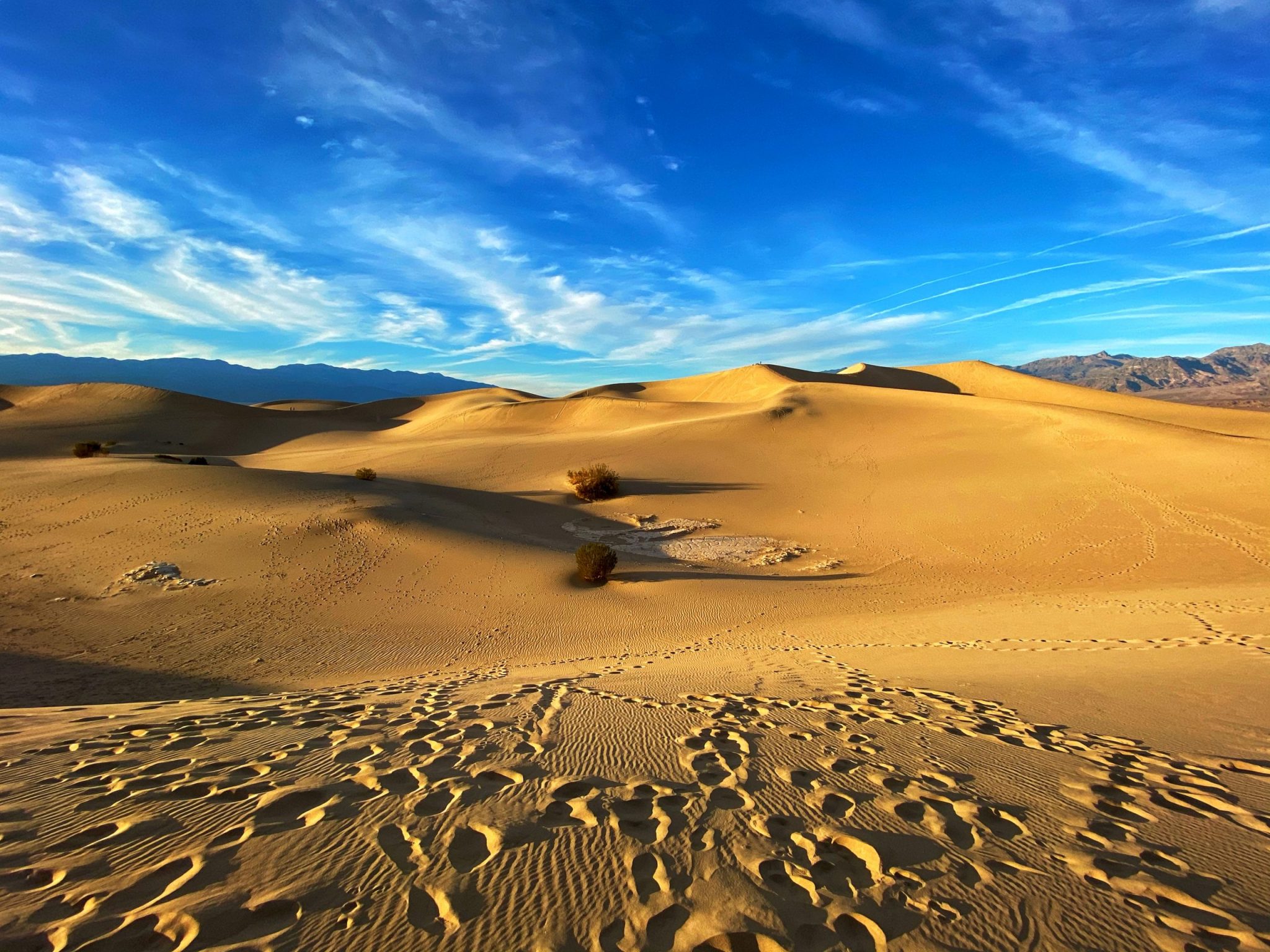 Millions of footprints at the Mesquite Flat Sand Dunes