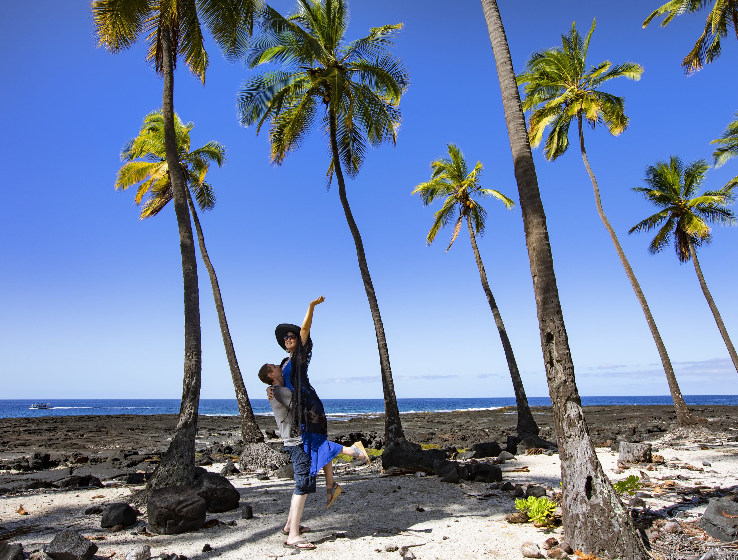 Palm Trees along the coast in Big Island Hawaii