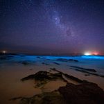 Visit a Bioluminescence Beach in Southern California