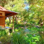 Visit the Best Botanical Gardens in Los Angeles