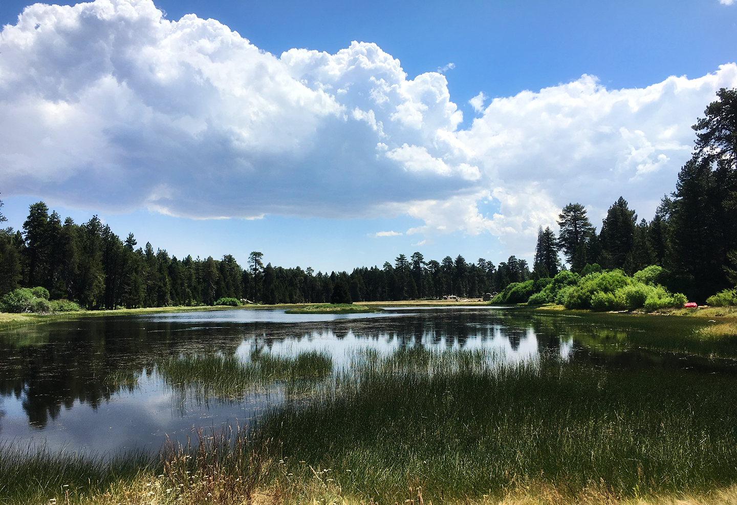 Ultimate Guide To Big Bear Summer Activities Resist The Mundane Ultimate Guide To Big Bear Summer Activities Resist The Mundane