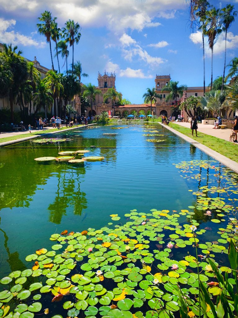 Lily Pond at the Botanical Building Balboa Park, San Diego