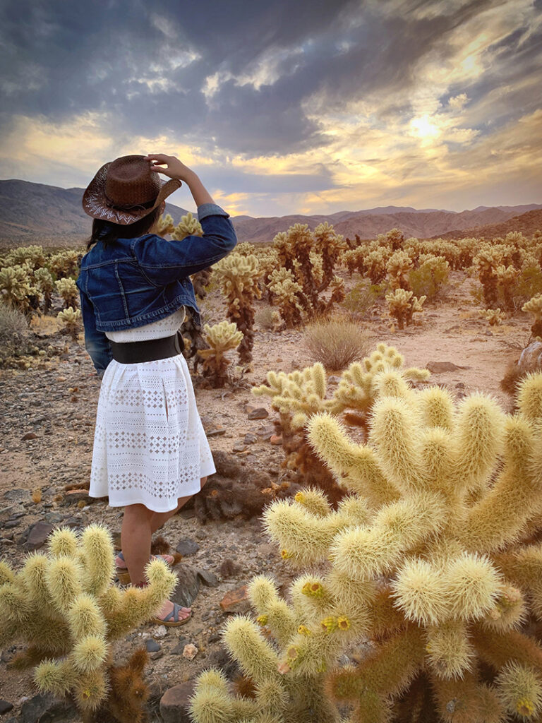 Girl in white dress and cowboy hat standing next to cholla cactus in joshua tree national park.