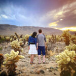 Best Two Days in Joshua Tree National Park