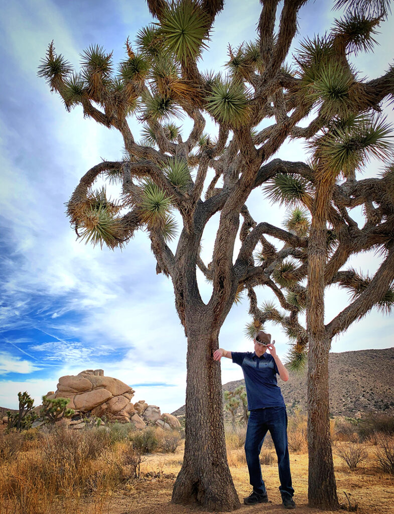 Husband pretending to be a cowboy next to some tall Joshua Trees.