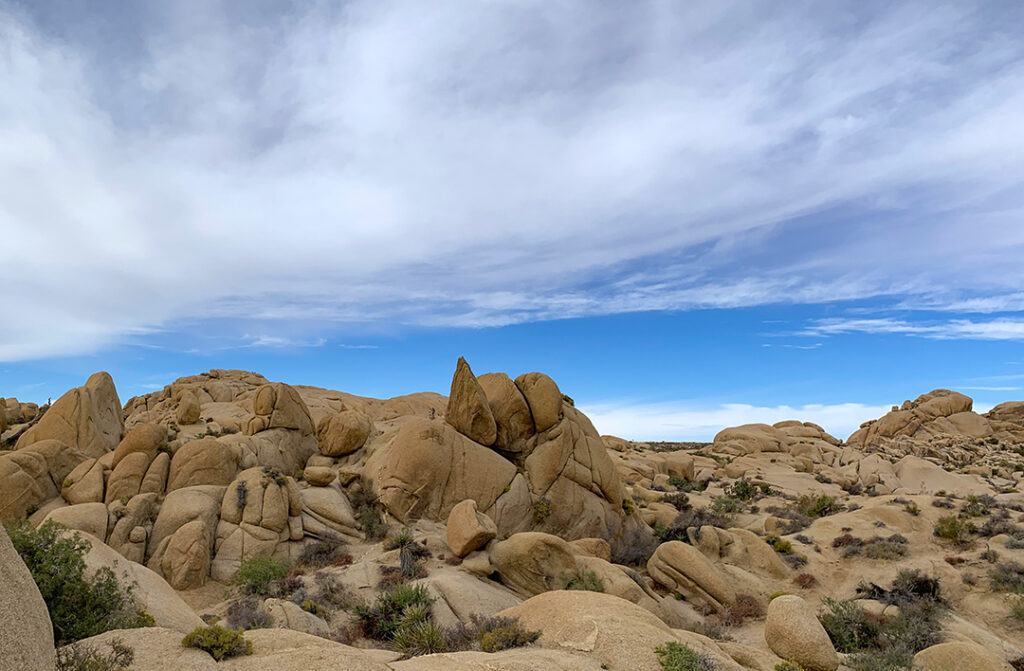 Jumbo Rock Campground in Joshua Tree National Park