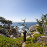 The Perfect Two Days in Monterey Bay California